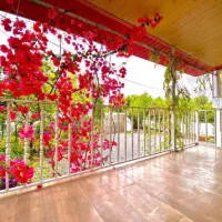 تو-این-تراس-آدم-دلش-میخواد-زوزه-بکشه-مبله-شهرکی