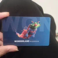 کارت شهر بازی