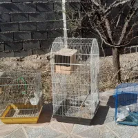 فروش قفس پرندگان