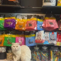 غذا و لوازم حیوانات