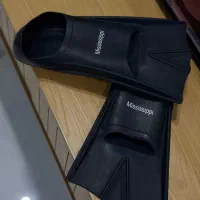 فین شنا