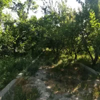 باغ ویلایی ۱۰۰۰ متری سندار عرصه عیان