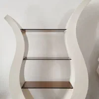 دکوری.  جا کتابی