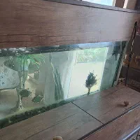 آکواریوم شیشه خم|ماهی|فردیس, شهرک راه آهن|دیوار