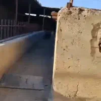 باغ ویلا ، گاوداری ،پرورش ماهی ، شتر مرغ