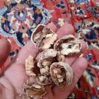 فروش گردو کیلو و هزاری|خوردنی و آشامیدنی|سروآباد, |دیوار