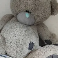 خرس طوسی|اسباببازی|تهران, هفده شهریور|دیوار