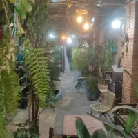 استخدام در رستوران سنتی