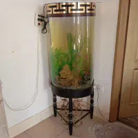 اکواریوم سایز بزرگ پایه فلز|ماهی|سیرجان, |دیوار