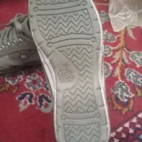 سلام خدمت همشهریان|کیف، کفش، کمربند|اقبالیه, |دیوار