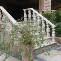 ۱۴۰متر کیا شمالی با حیاط خلوت فول