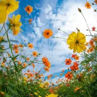 فروش خط دائم تهران ۰۹۱۲