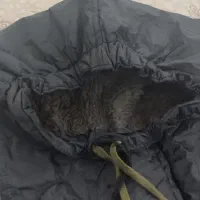 بارانی داخل خز اورجینال|لباس|مهران (ایلام), |دیوار