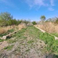 زمین-1200-متری-قابل-تفکیک