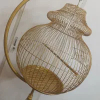 قفس عروس هلندی