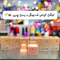 بی بی کوشن حلزون