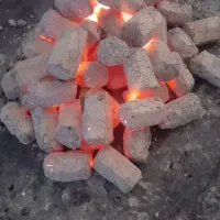 زغال حبه ای کبابی