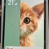 گوشی شیائومی ۱۲ نوت پرو|موبایل|کرج, باغستان|دیوار