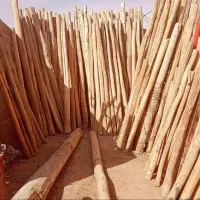 چووب چوب|خدمات باغبانی و درختکاری|قره چای, |دیوار