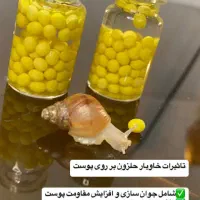 خاویار حلزون