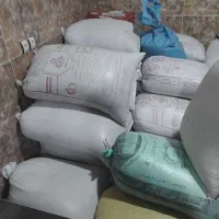 تخم جو برای کشت