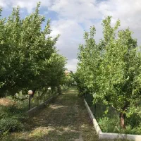 11000مترمربع-زمین-و-باغ-حوالی-گلبهار