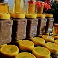 درمان ریشه ای بلغم سردی کبد چرب و مشکلات جنسی
