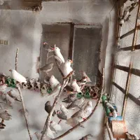 فنج مولد 200عدد یکجا فروشی