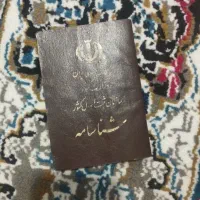 شناسنامه گم شده