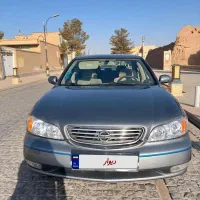 ماکسیما خانگی تمیز