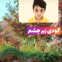 تول گیری پیشوا|خدمات آرایشگری و زیبایی|پیشوا, |دیوار