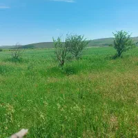 باغ در زرغان