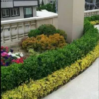 خدمات|خدمات باغبانی و درختکاری|اراک, |دیوار