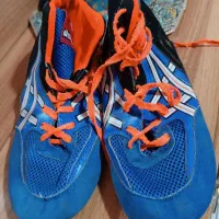 دوبنده کشتی با کفش