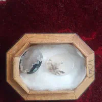 سنگ شجر مشهد فروشی آماده قاب انگشتر