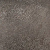 صندلی غذاخوری|میز و صندلی غذاخوری|مشگین شهر, |دیوار