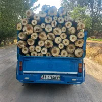 خرید انواع چوب .بالاترین قیمت نقد|خدمات باغبانی و درختکاری|خرمدره, |دیوار