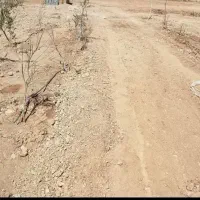 زمین-کشاورزی