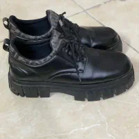 کفش مجلسی