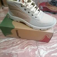 کفش کار|کیف، کفش، کمربند|شیراز, بالا کفت|دیوار