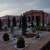 باغبانی|خدمات باغبانی و درختکاری|کرمان, |دیوار