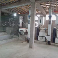 استخدام کارگر شالیکوبی