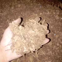 کود خاک برگ بلوط برای باغچه و گل کیسه ۲۵کیلوفقط۲۵۰