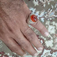 کهنه وعقیق روزگاری|کلکسیون اشیاء عتیقه|اصفهان, بهارستان|دیوار