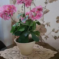 گل مصنوعی|گل مصنوعی|مشهد, انقلاب|دیوار