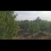 باغ ویلایی منطقه الهیه آبسرد (دماوند)