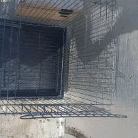 قفس پرنده بزرگ|لوازم جانبی حیوانات|مشکیندشت, |دیوار