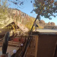 کلبه سنتی بوژان|اجارهٔ کوتاهمدت ویلا و باغ|نیشابور, فضل|دیوار