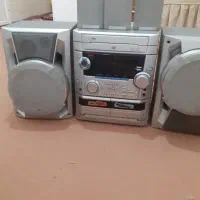 ضبط  دو کاسته