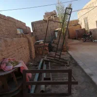 دار قالی|ابزارآلات|راور, |دیوار